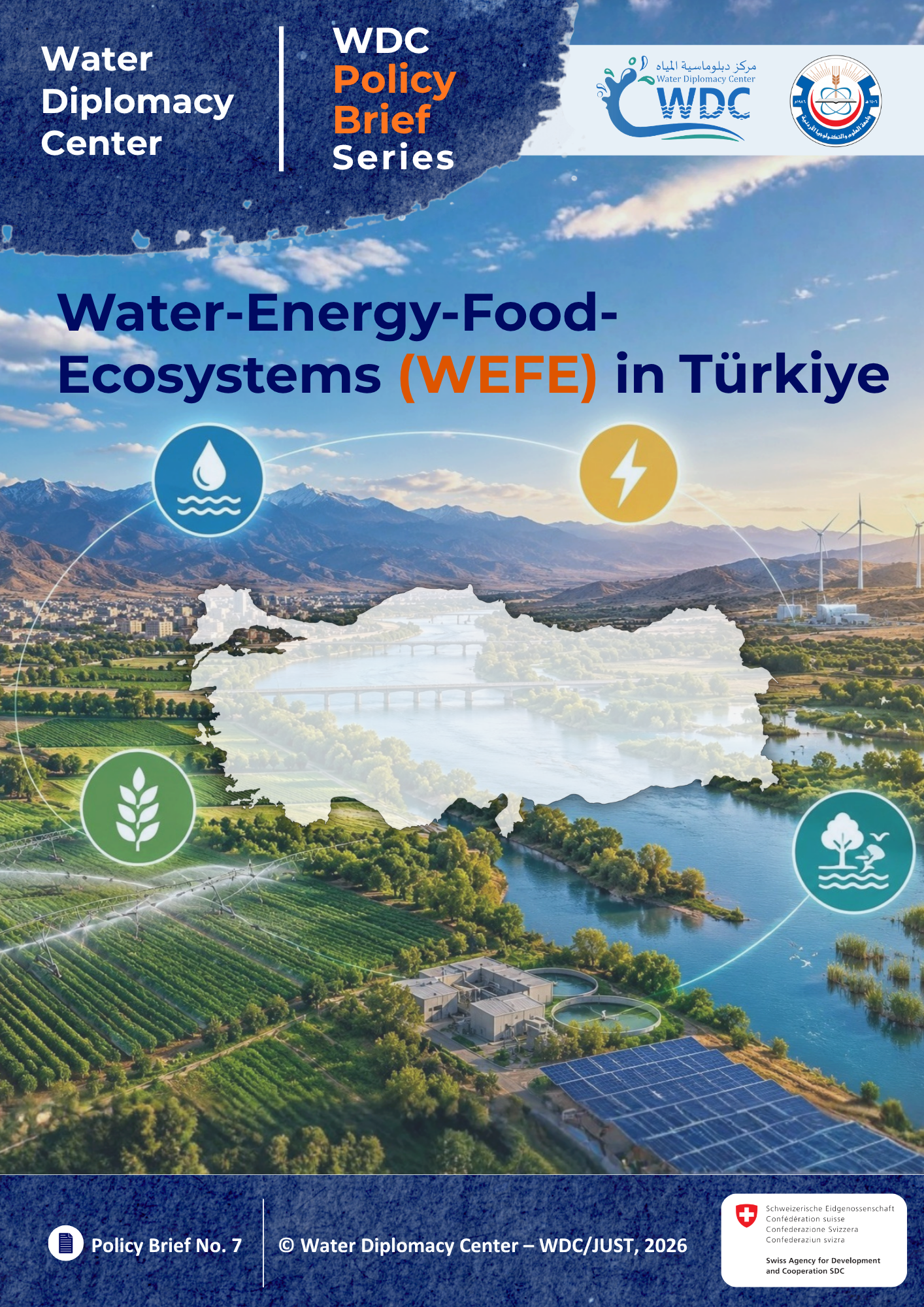 Policy Brief No.7 - Türkiye